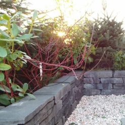 12090 Mount tate wall mystique | Steenvoordeel