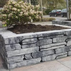 12090 Mount tate wall mystique | Steenvoordeel