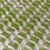 Grasblok 40x60x12 - 20154 - Steenvoordeel.nl