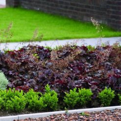 Betonband 6x15x100 VB Grijs