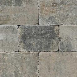 Trommelsteen 20x30x6 Musselkalk 283069 | Steenvoordeel