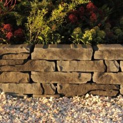 29432 Mount tate wall coral | Steenvoordeel