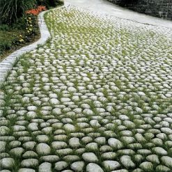 34103 Keigrassteen sfeer | Steenvoordeel