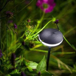 Sway Light Head black sfeer 41334 | Steenvoordeel