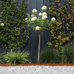 Kantopsluiting Corten single 300x16.5cm | bestellen bij Steenvoordeel.nl