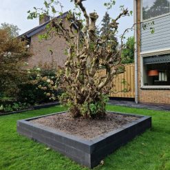 inea 10x10x60cm antraciet | bestellen bij Stenvoordeel.nl
