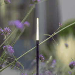 Breeze Black sfeer | Bestellen bij steenvoordeel.nl