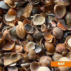 Bruine Noordzeeschelpen nat Bestellen bij steenvoordeel.nl