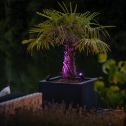 Castor smart - 290072 | nu kopen bij steenvoordeel