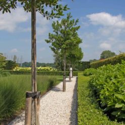 Duitse Witte Kwarts grind | bestellen bij Steenvoordeel.nl