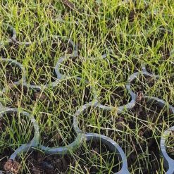 Ecco HD Flex grijs grasdal | bestellen bij Steenvoordeel.nl