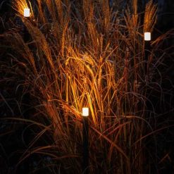 Erba 12V 290066 | Bestel online bij Steenvoordeel