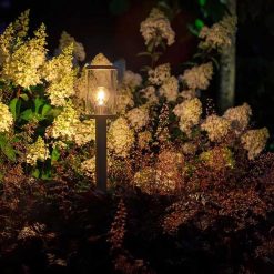 Eros Hi 12V 283531 | Online bij Steenvoordeel