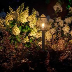 Eros Lo 12V 283530 | Online bij Steenvoordeel