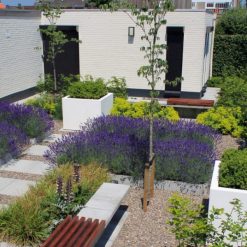 Alternative view of Flachkorn Grind 8-16 mm