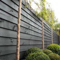 Grenen zwart gedompeld | Steenvoordeel