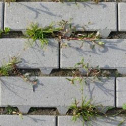 Geoklinker Plus Herba Linea 31,5×10,5×8 cm Cannobio | bestellen bij Steenvoordeel.nl