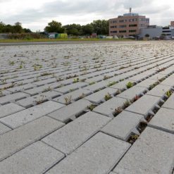 Geoklinker Plus Herba Linea 31,5×10,5×8 cm Cannobio | bestellen bij Steenvoordeel.nl