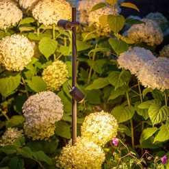 Juno Tube 12V | Koop bij Steenvoordeel