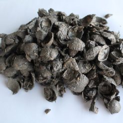 Kleischelpen | kopen en snel geleverd via Steenvoordeel