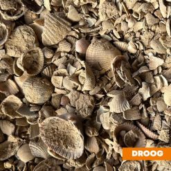 Kleischelpen bruin droog Bestellen bij steenvoordeel.nl