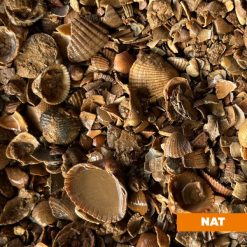 Kleischelpen bruin nat Bestellen bij steenvoordeel.nl