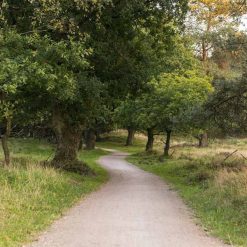 Quarzitische Grauwacke Flachkorn | Kopen bij Steenvoordeel