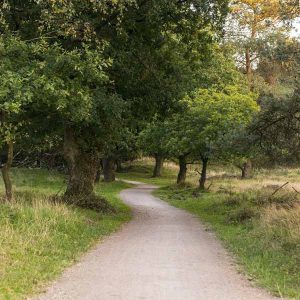 Quarzitische Grauwacke Flachkorn | Kopen bij Steenvoordeel