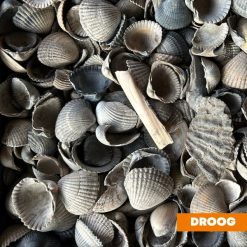 Schone schelpen droog Bestellen bij steenvoordeel.nl