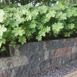 Splitrock 32x13x11 cm 2.0 tricolore - Sfeerbeeld - Bestel nu bij Steenvoordeel