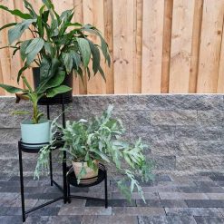 Splitrock 32x13x11 cm concrete 290107 | Koop bij Steenvoordeel