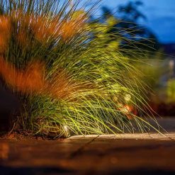 Tiga DL 12V 290071 | Online bij Steenvoordeel