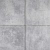 Trippel T 60x60x4 cm Grijs nuance 442258 | kopen bij steenvoordeel