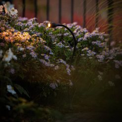 Xible 12V 290070 | Koop bij Steenvoordeel