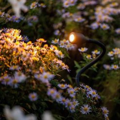 Xible 12V 290070 | Koop bij Steenvoordeel