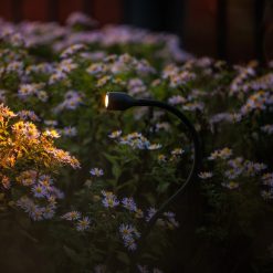 Xible 12V 290070 | Koop bij Steenvoordeel