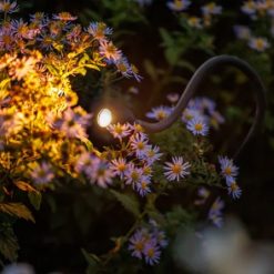 Xible 12V 290070 | Koop bij Steenvoordeel