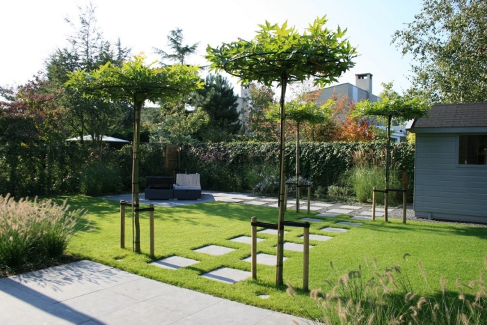 Steenvoordeel - wat te doen in de tuin in februari