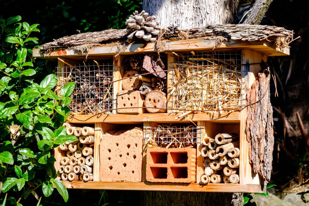 insectenhotel-steenvoordeel-tuin